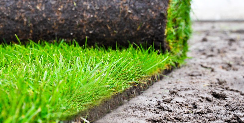 Le gazon de placage : une solution 100% naturelle et zéro souci